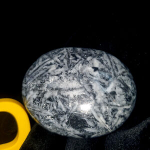 Pinolite Palm stone F